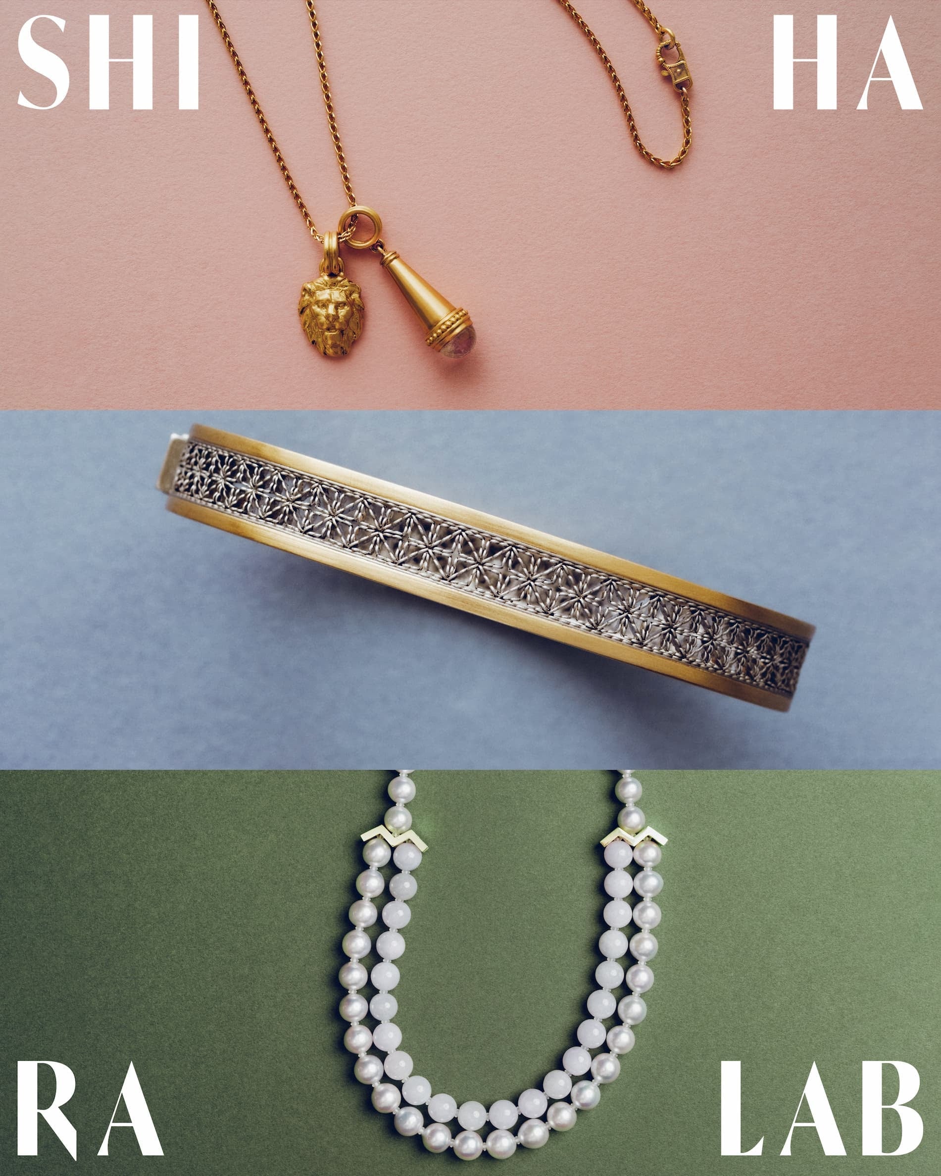 Sparkling Weekend in February – Shihara Lab