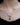 Baby Vine Curl Pendant - Green