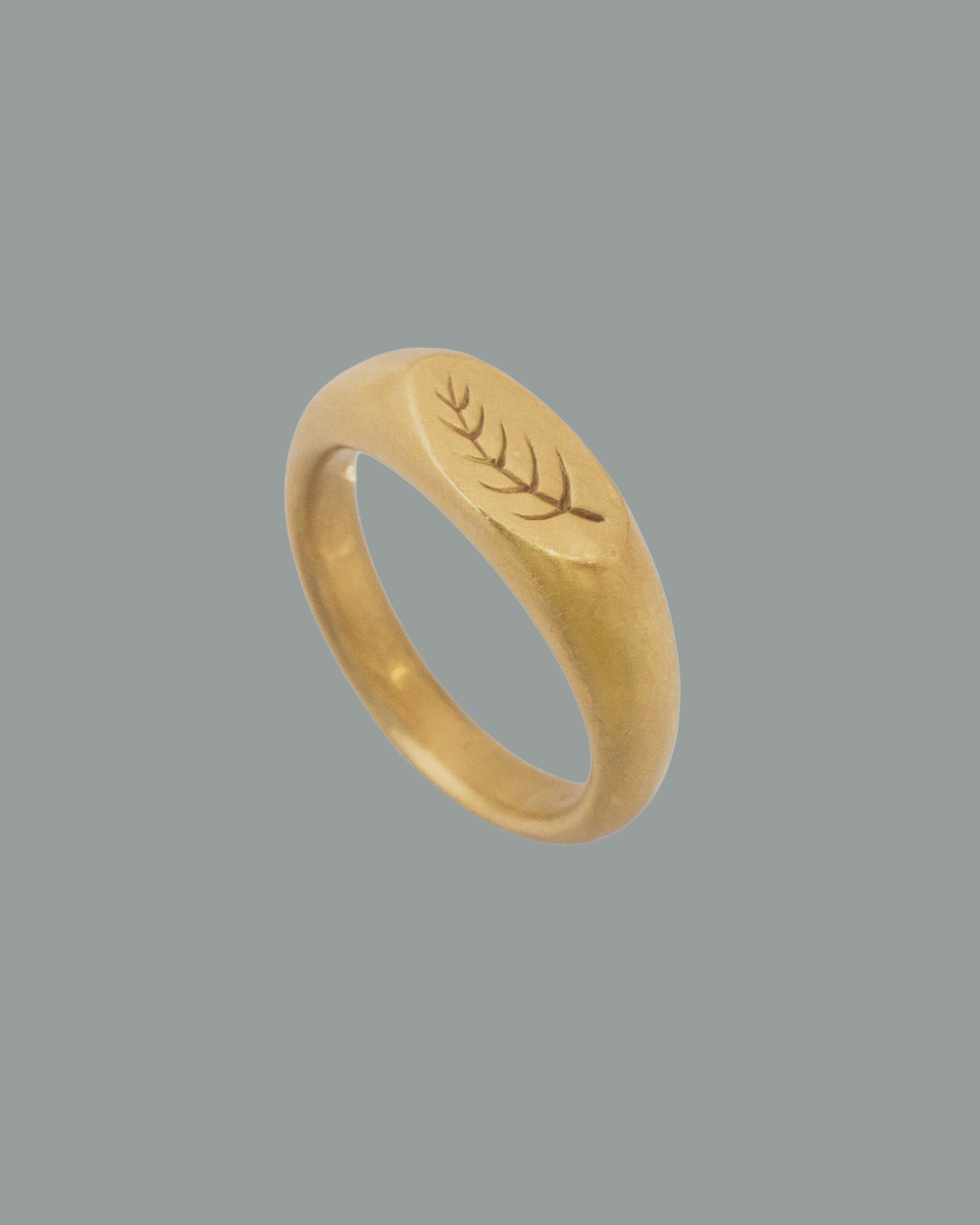 Palm Branch Ring – Shihara Lab